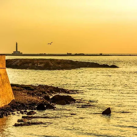 In Rosa Virginia Appartement